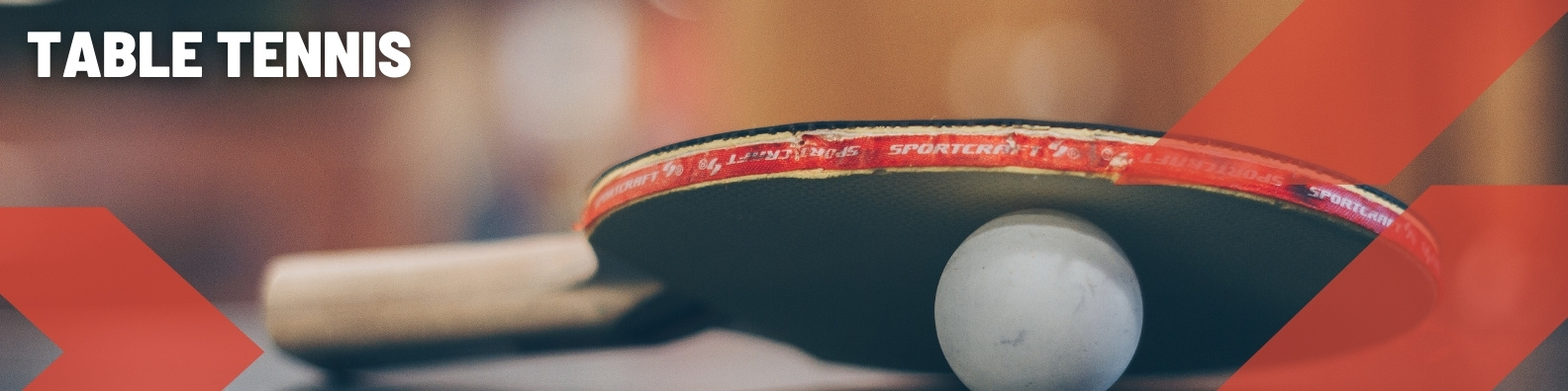 Table Tennis Sponsorship Opportunities from Sponsor Seeker